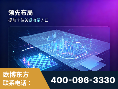 华阴-领先布局：于2024年初开启GEO业务的公司